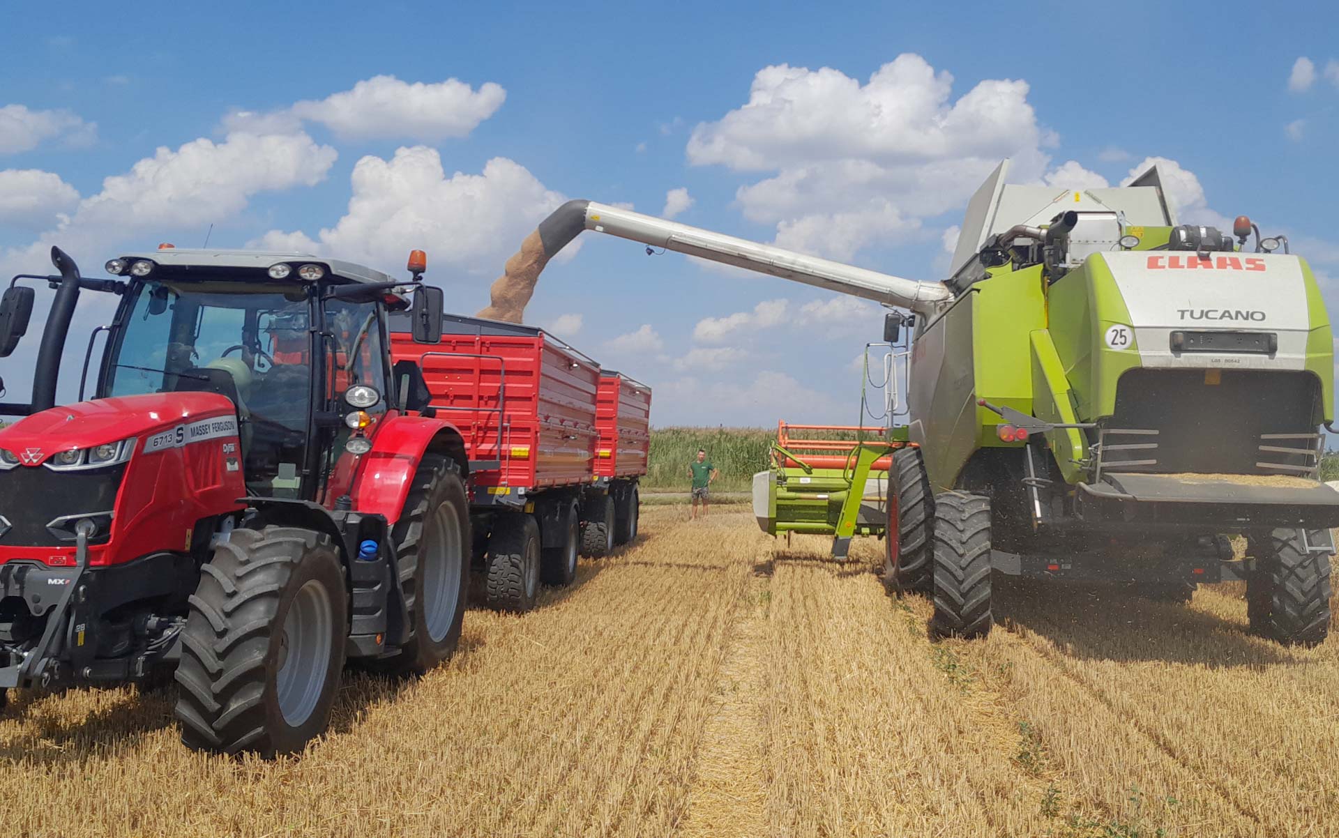 Transport bażantów i kuropatw